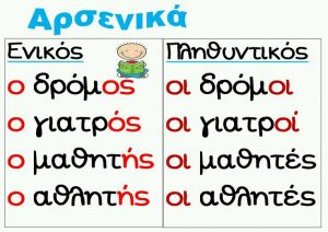 Αρσενικά : Ενικός - Πληθυντικός αριθμός